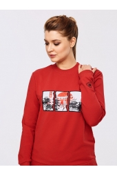 Женский спортивный костюм кирпичный с аппликацией (11L-RR-1247)